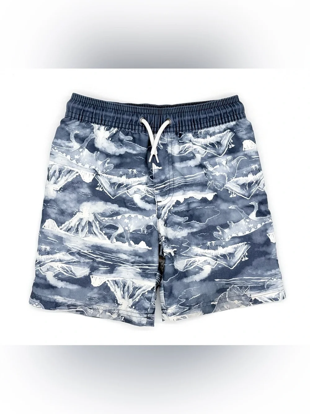 GUC OshKosh Toddler Boys Watercolor Dinosaur & Volcano Pattern Swim Trunks 4T